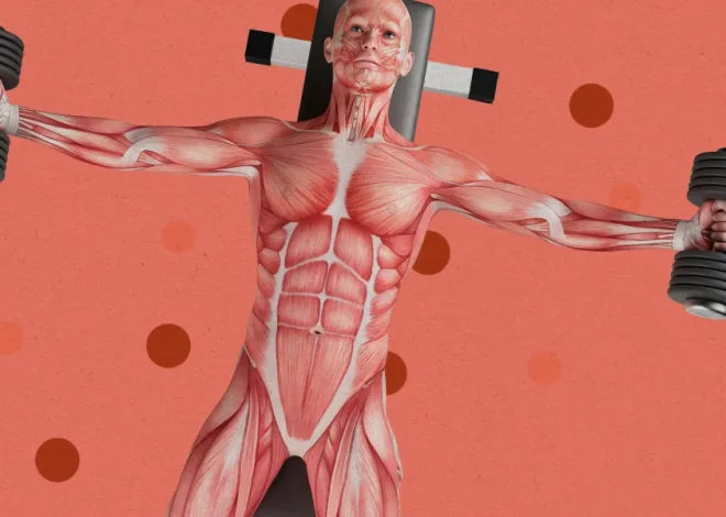 This company is developing gene therapies for muscle growth, erectile dysfunction, and “radical longevity”