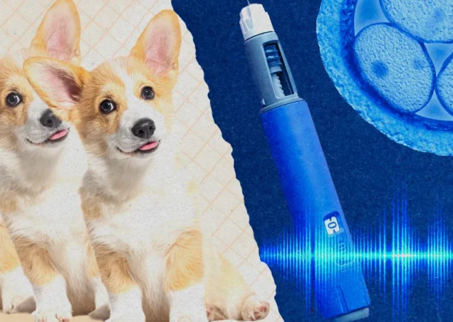 Take our quiz on the year in health and biotechnology