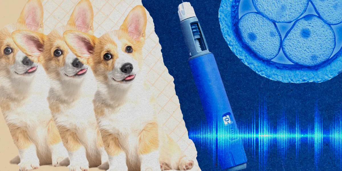 Take our quiz on the year in health and biotechnology