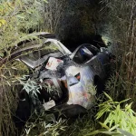 Man arrested for crashing car into parked cars after trying to set fire to South Bay winery