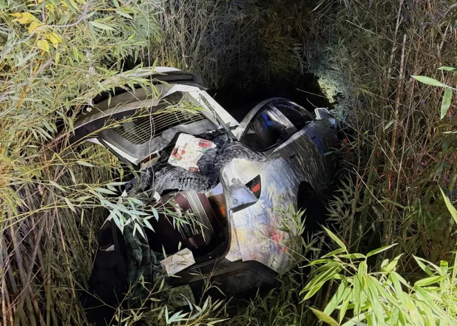 Man arrested for crashing car into parked cars after trying to set fire to South Bay winery