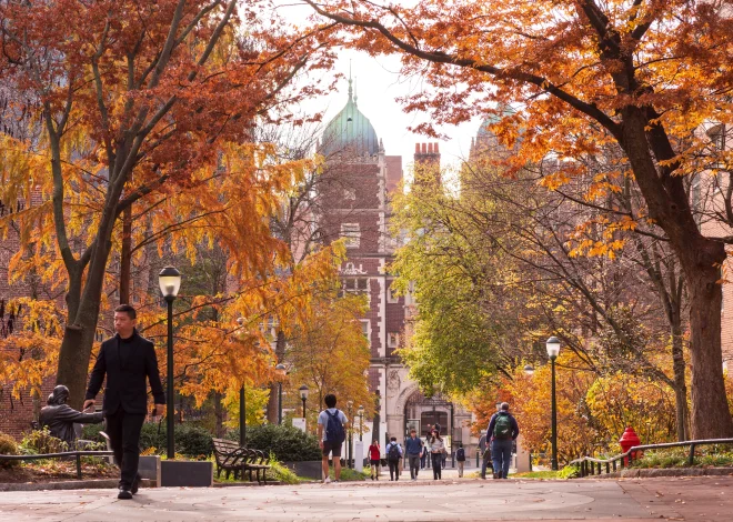 A.I. Degrees Boom as Students Prepare for an Uncertain Job Market