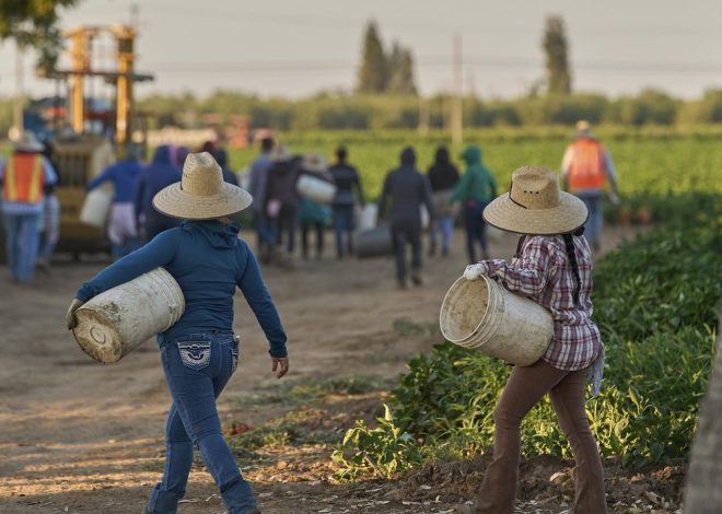 DHS slashes work permit term for migrants from 5 years to 18 months