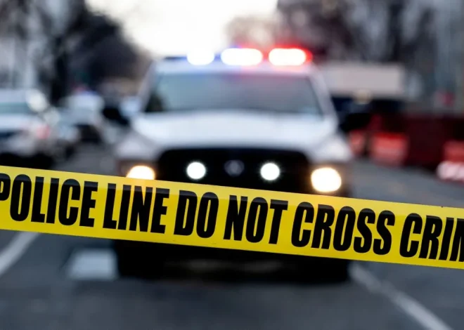 Woman hit by car in November dies from injuries