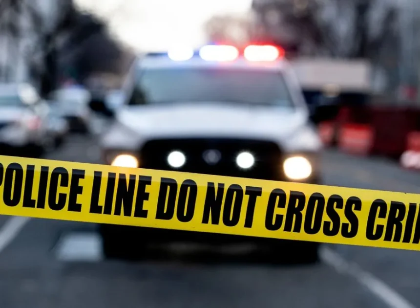 Woman hit by car in November dies from injuries