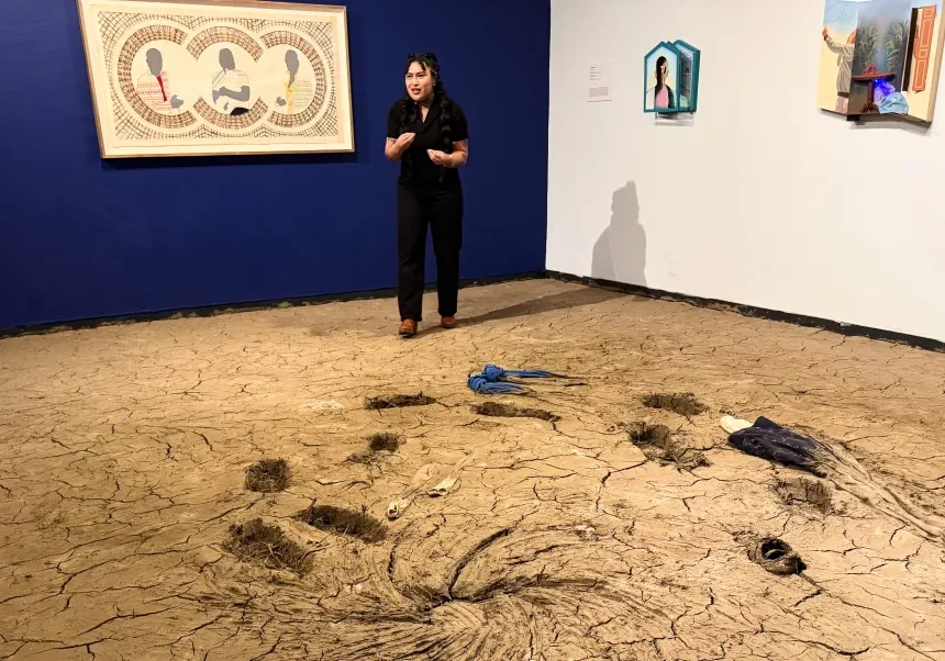 MACLA, Montalvo Arts Center partner on new exhibition in San Jose – The Mercury News