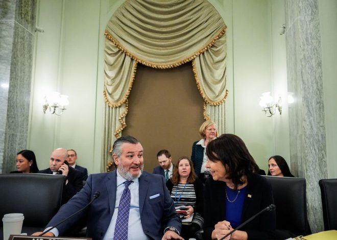 Ted Cruz wants restrictions on military flights approved soon to prevent another midair collision