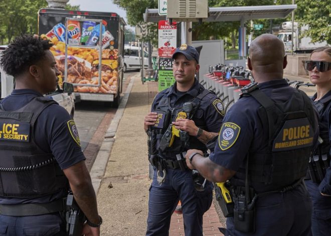 Judge orders ICE to stop most warrantless immigration arrests in D.C.