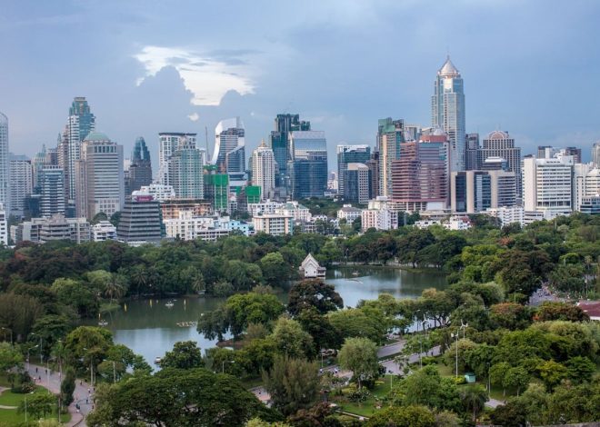 WHO calls for a new era of strategic urban health action with global guide to unlock healthy, prosperous and resilient societies