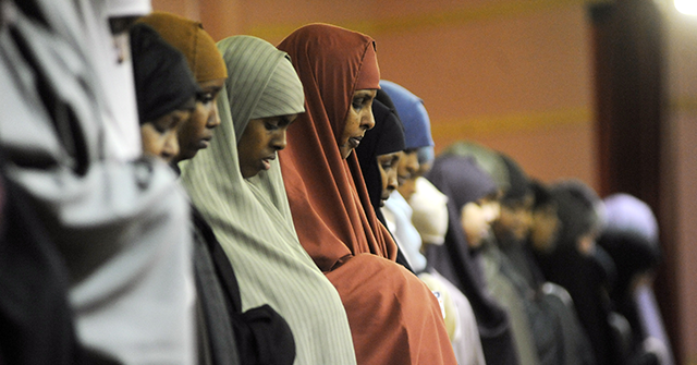 Vance Praises YouTuber Nick Shirley Reporting on Minnesota Fraud