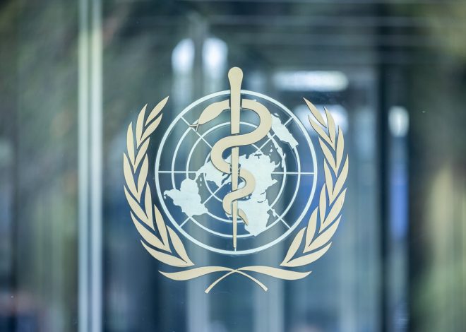 WHO condemns killings of patients and civilians amid escalating violence in El Fasher, Sudan