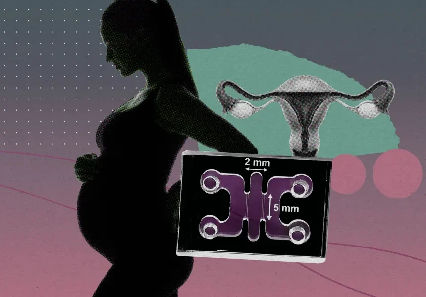 The Download: Mimicking pregnancy’s first moments in a lab, and AI parameters explained