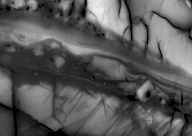 Under 10% of an earthquake’s energy makes the ground shake
